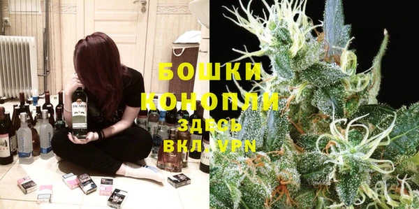 сатива Абаза