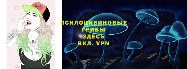 сатива Абаза